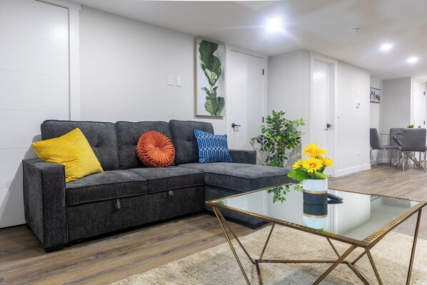 Smart TV, books, video library