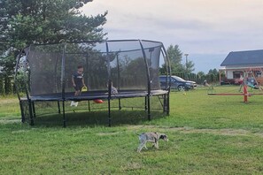 A trampoline with a safety net in a grassy yard.