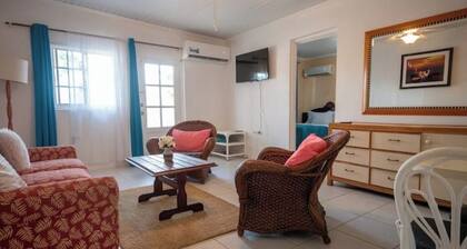 Aruba Sunrise 1BR APT Near Baby Beach San Nicolas