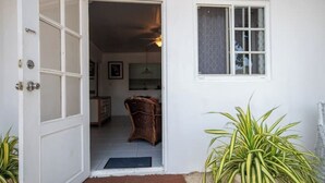 A white door with a glass panel, a small window with a frosted glass panel, and a potted plant to the right.