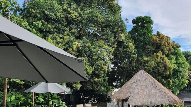 A swimming pool with lounge chairs and umbrellas, surrounded by lush greenery and a thatched-roof structure. - Glam Canggu (Canggu)