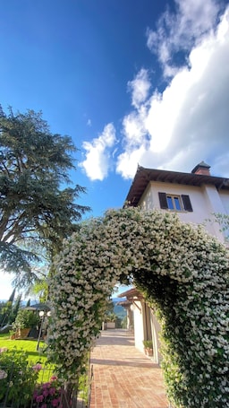 Property grounds. Charming Guest Room in Villa Casavecchia