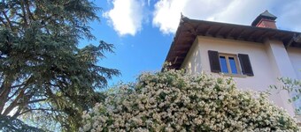 Charming Guest Room in Villa Casavecchia