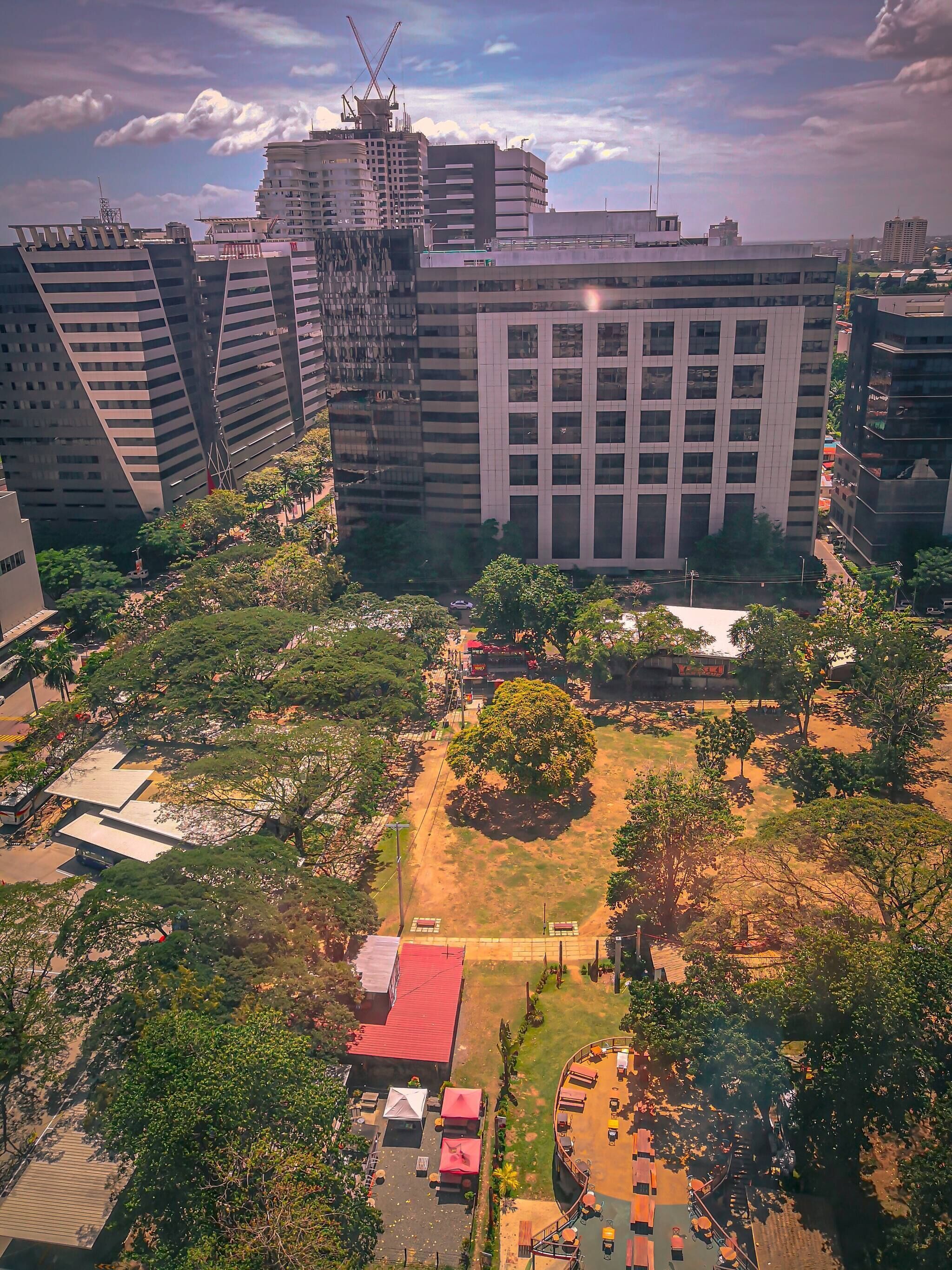 Aerial view