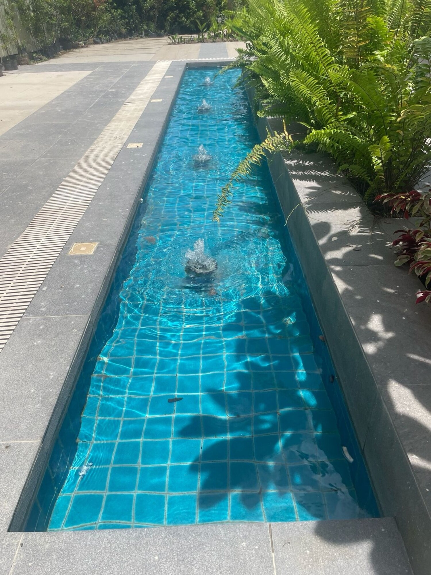 室外游泳池