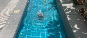 Mesavirre Garden Residences Furnished Units