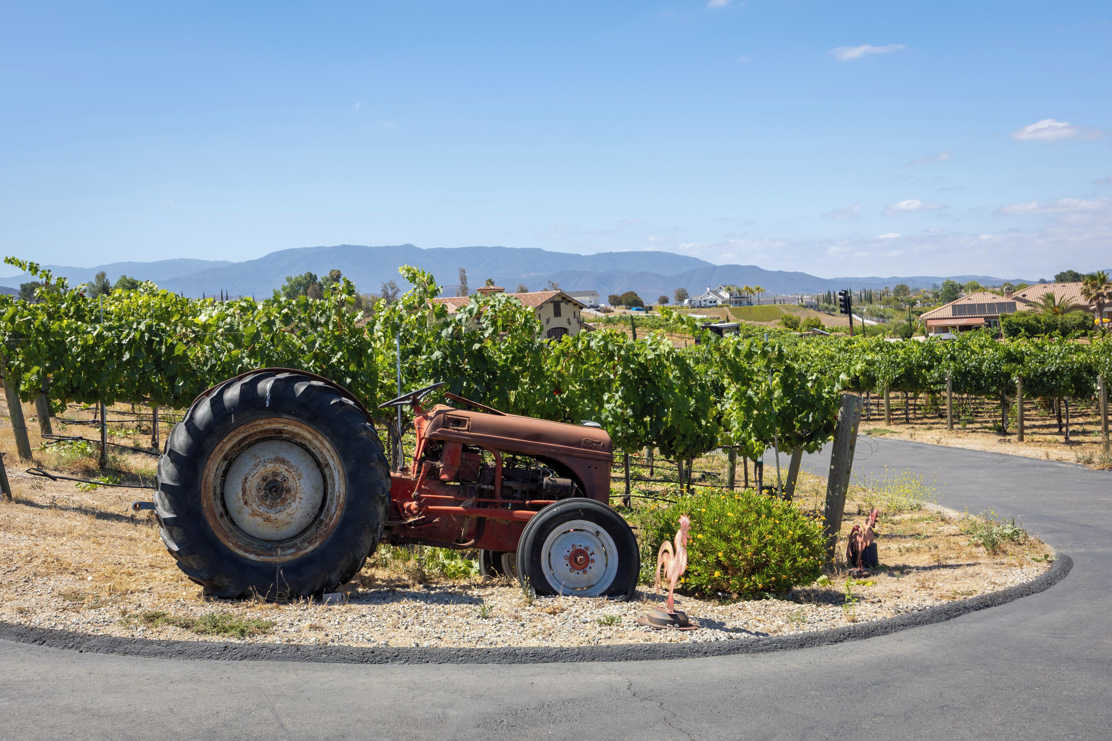 A vintage tractor in a vineyard with a clear sky and distant mountains.