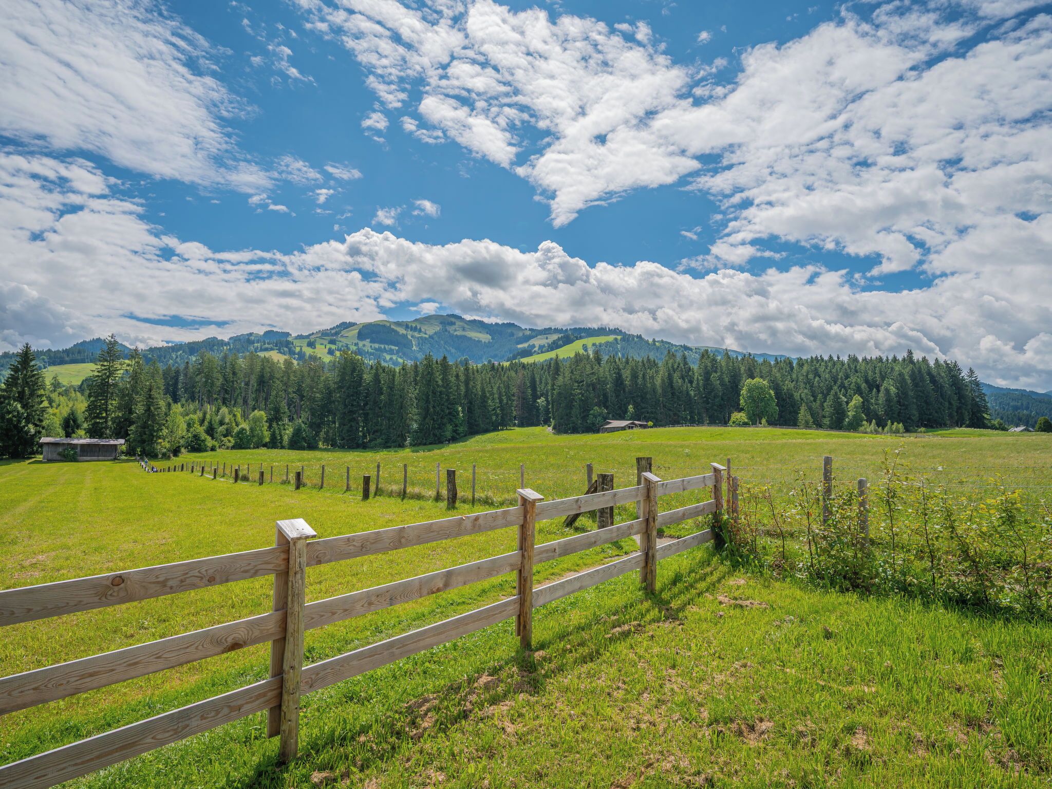 A wooden fence in a green field with a mountain range in the background.