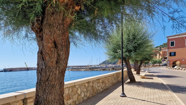 Un paseo marítimo con muro de piedra, árboles y una vista despejada del mar.