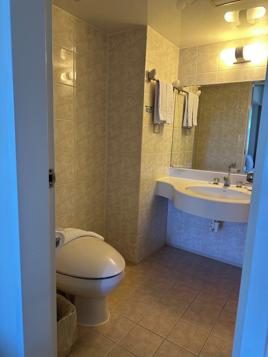 Un baño con inodoro, lavamanos y espejo.