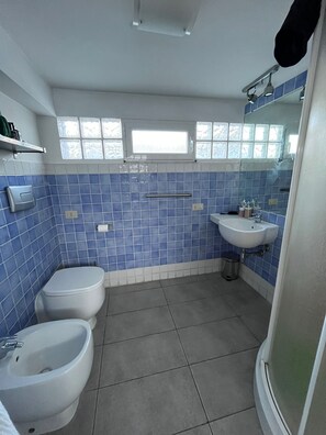 Shower, hair dryer, bidet, towels