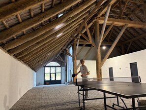 Game room - Detached, family-friendly Gulfhof with terrace & large garden - (Wittmund)