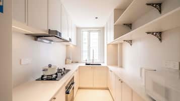 Apartment, City View | Private kitchen