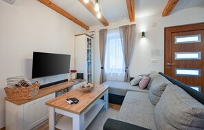 Smart-TV, Kamin