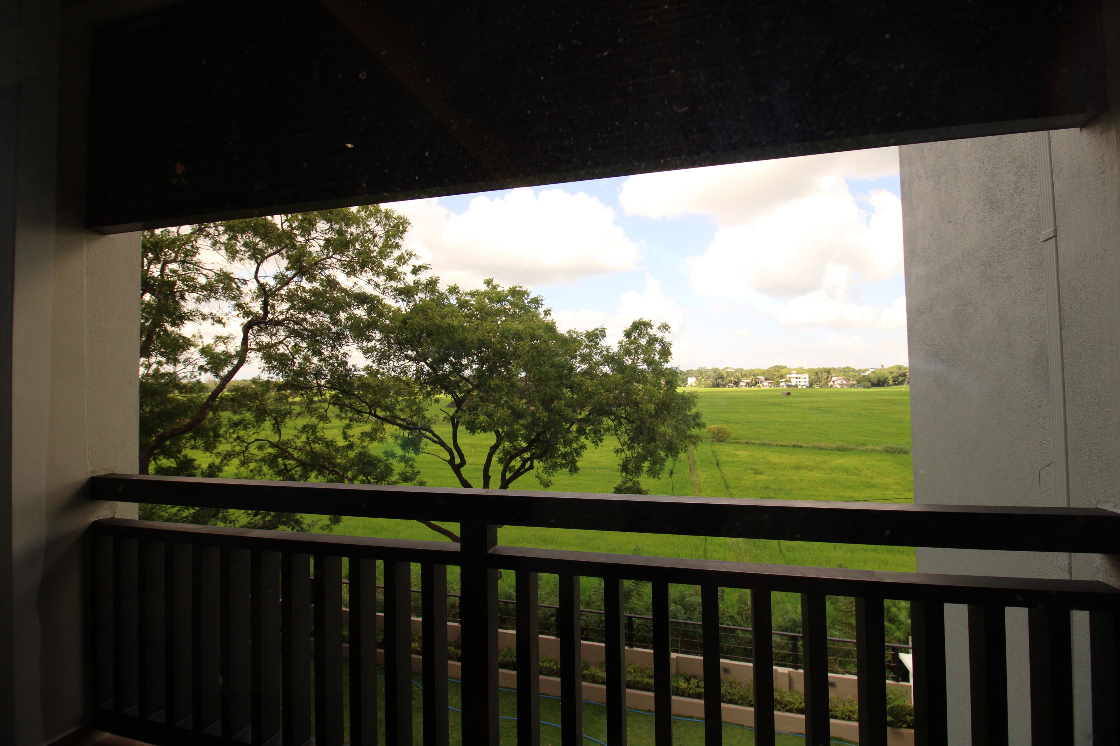 A balcony with a view of a green field and trees.