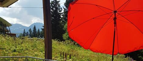 Restauration en plein air