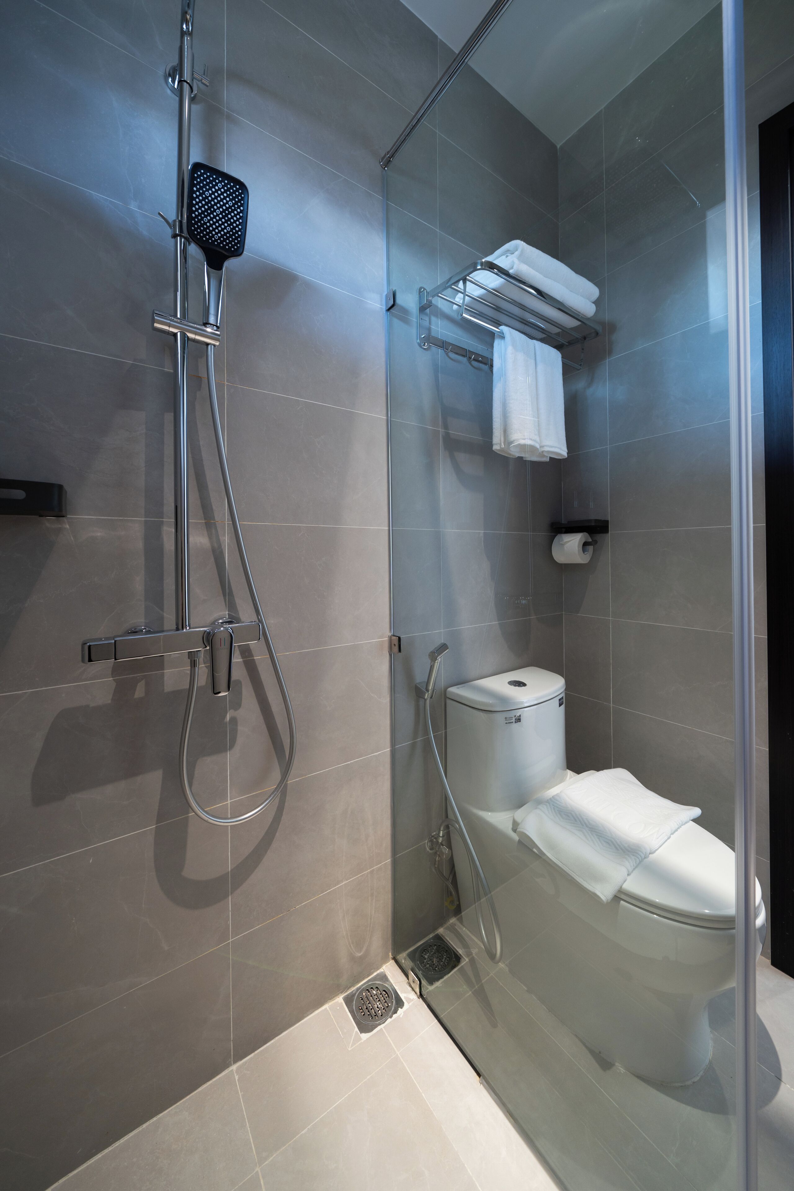 A modern bathroom with a glass-enclosed shower, a toilet, and a towel rack.