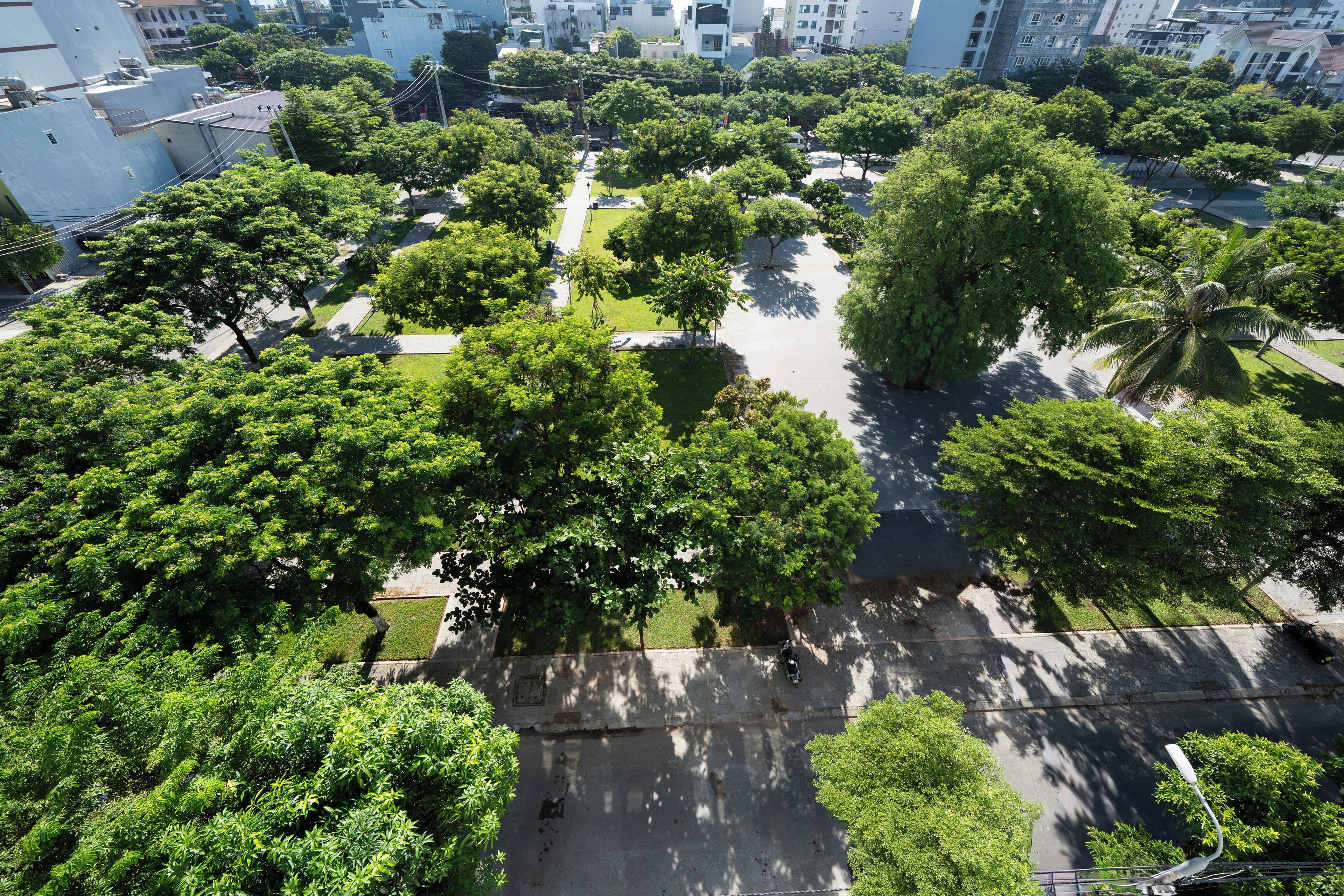 Vista aérea de un parque con árboles y un espacio abierto central.