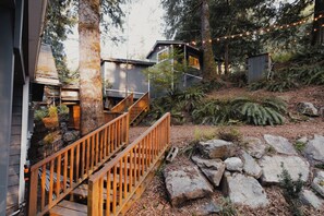 A wooden deck leading to a cabin with a staircase, surrounded by trees and a small shed.