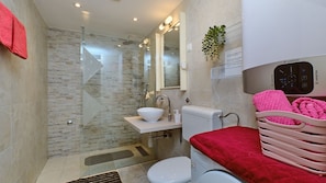 Shower, hair dryer, towels