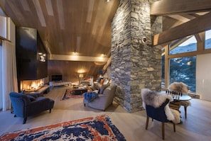 TV, fireplace, video games, DVD player