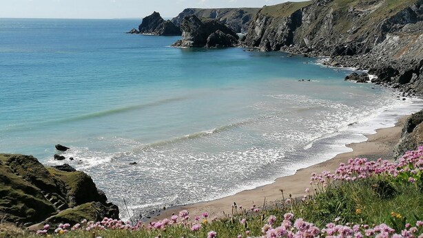 A coastal landscape with a sandy beach, rocky cliffs, and pink flowers in the foreground. - Mill House Barn (Penzance)