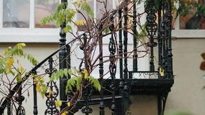A black wrought iron staircase with a white balustrade, leading to a window with frosted glass. - Raheen House Hotel (Clonmel)