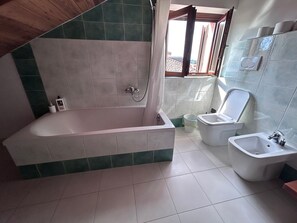 Hair dryer, towels, soap, toilet paper - Charming loft in historical building (Alba)