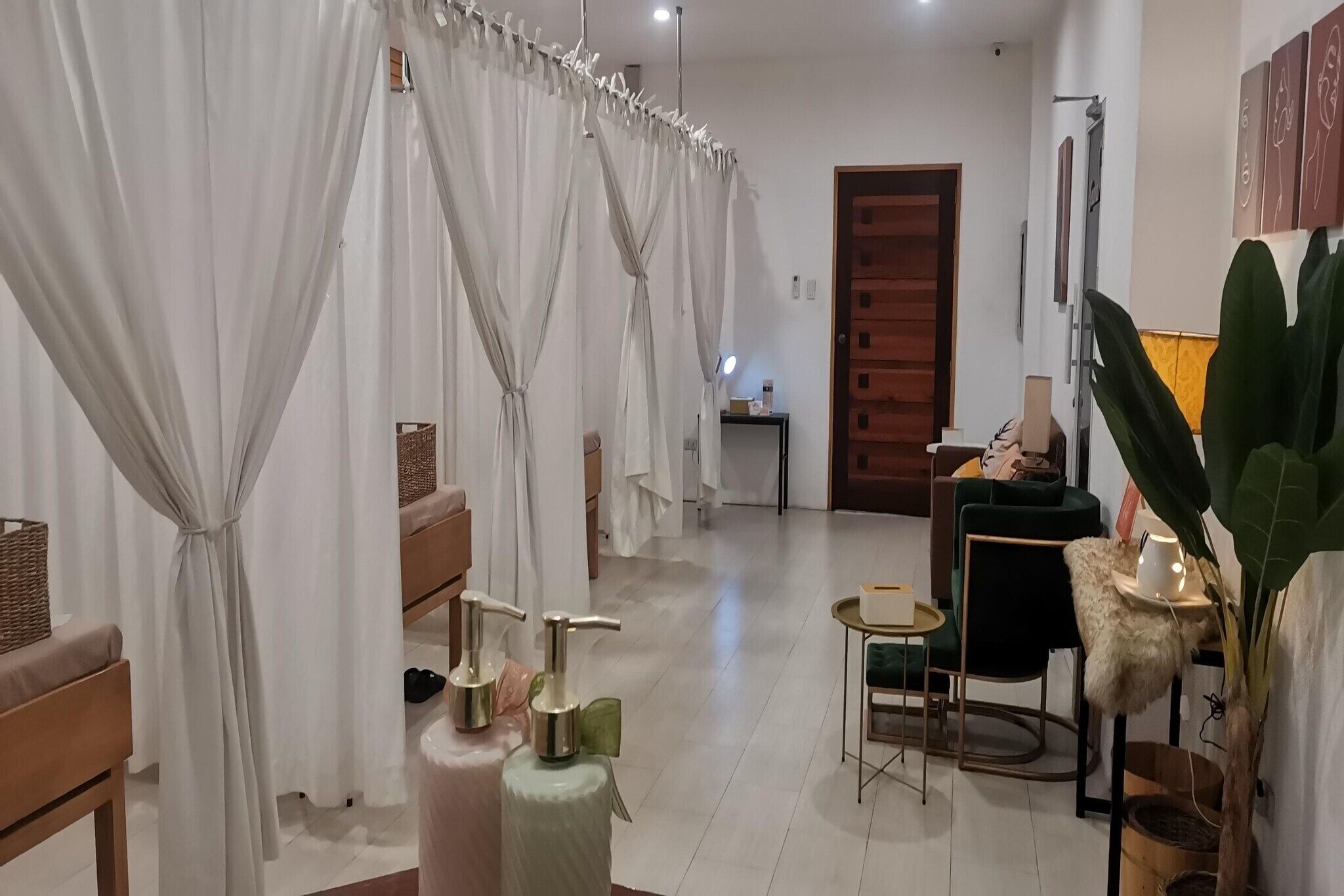 Una habitación de hotel con una cama, una mesita de noche con una lámpara, una silla y una planta grande.