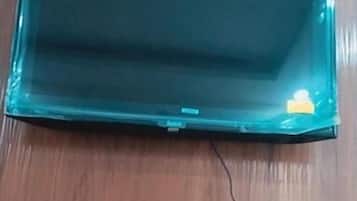 電視