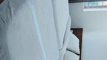 Wifi gratis y acceso para silla de ruedas
