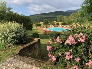 Seasonal outdoor pool, sun loungers