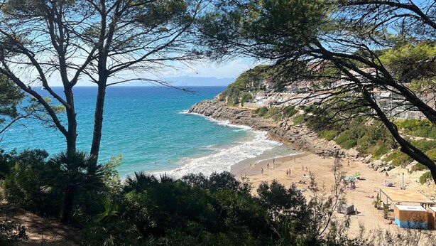 En kustnära strand med ett stenigt landskap, träd och en fri utsikt över havet.