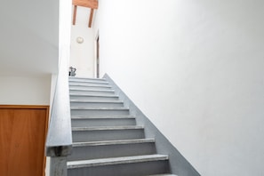 Appartement | 1 chambre