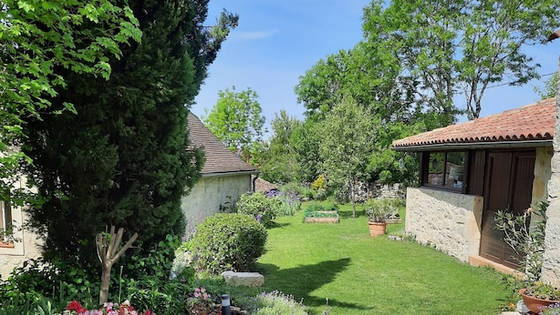 Um jardim bem cuidado com diversas plantas e um caminho de pedra que leva a uma casa com telhado de telhas.
