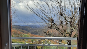 Uma janela com vista para um jardim e árvores.