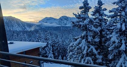 Modern Mountain Apartment With Balcony
