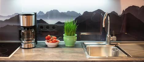Réfrigérateur, micro-ondes, plaque de cuisson, cafetière/bouilloire