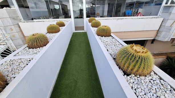 A modern building with a central pathway flanked by white planters with cacti and pebbles. - Luxury Apartment with Private Pool on Huge Terrace- Ideal for Families and Expats (Las Palmas de Gran Canaria)