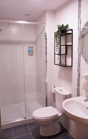 Regadera, secadora de cabello, bidet, toallas 