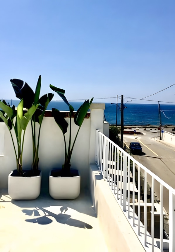 A balcony with potted plants, a white railing, and a view of the sea and road.