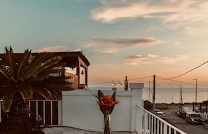 A coastal view with a balcony, a palm tree, and a vase of flowers.