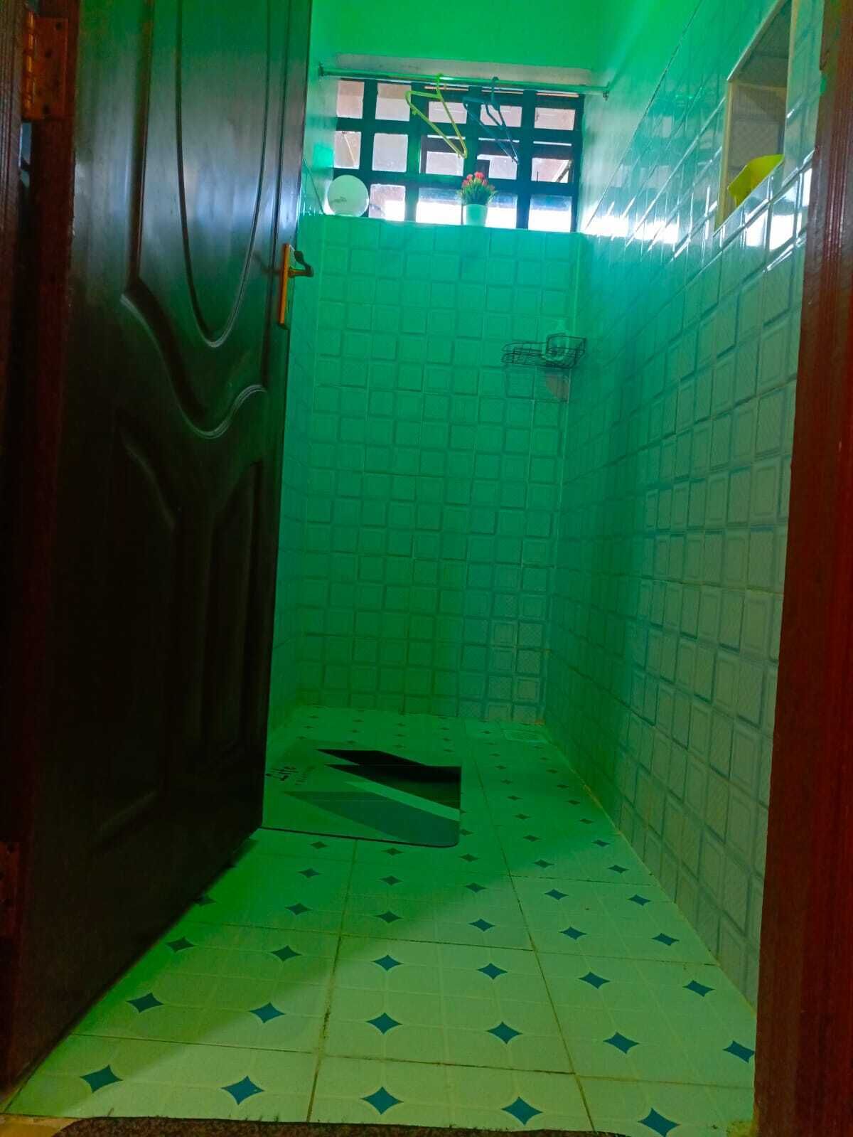 Shower, towels, soap, toilet paper