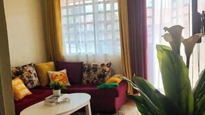 Een woonkamer met een bank, een salontafel en een grote plant.