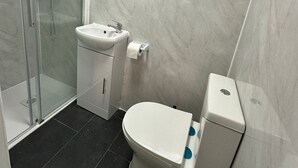 A modern bathroom with a glass shower enclosure, a white sink, and a toilet.