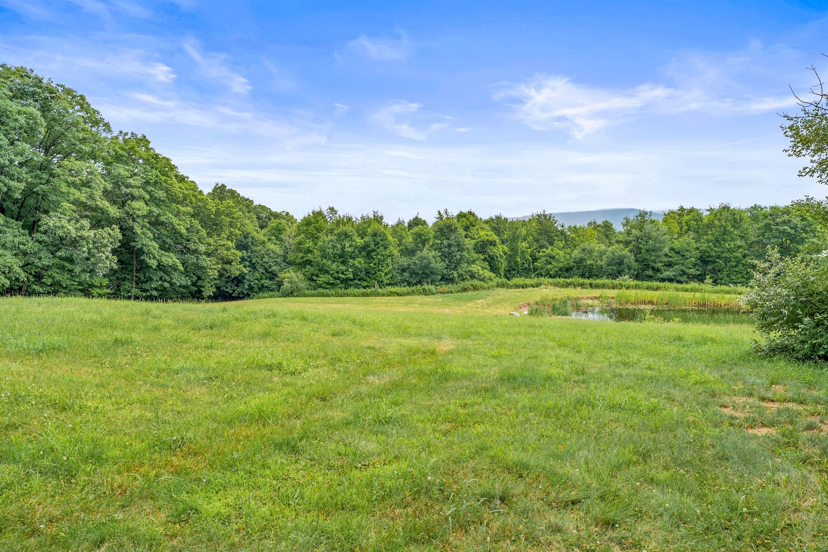 Eine natürliche Landschaft mit einer Wiese, einem Teich und dichtem Wald.
