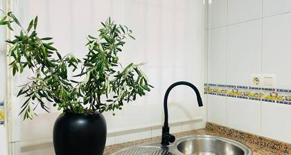 Comeback Sweet Summer Day