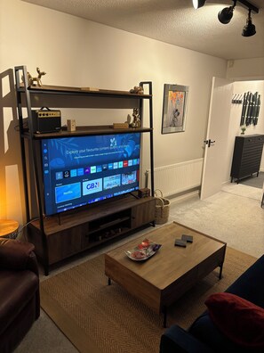 Fernseher