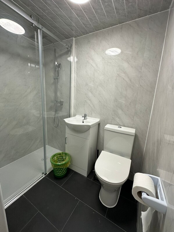 Shower, towels, toilet paper