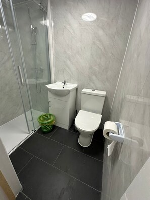 Shower, towels, toilet paper